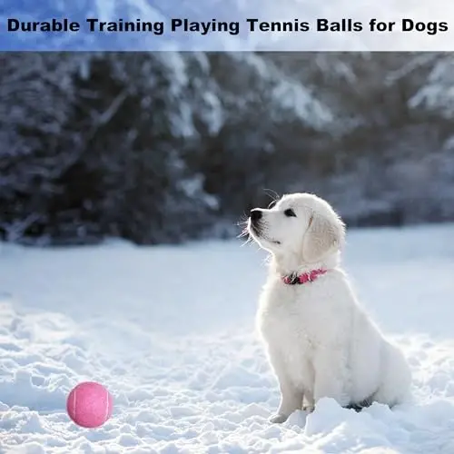 HPWFHPLF Tennis Balls, 12 Pack Advanced Training & Practice Tennis Balls for Beginners, Pet Dogs Playing Balls, Includes Mesh Carry Bag - 6