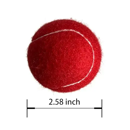 HPWFHPLF Tennis Balls, 12 Pack Advanced Training & Practice Tennis Balls for Beginners, Pet Dogs Playing Balls, Includes Mesh Carry Bag - 2