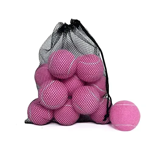 HPWFHPLF Tennis Balls, 12 Pack Advanced Training & Practice Tennis Balls for Beginners, Pet Dogs Playing Balls, Includes Mesh Carry Bag 