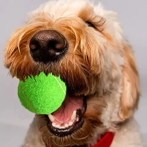 HPWFHPLF Tennis Balls, 12 Pack Advanced Training & Practice Tennis Balls for Beginners, Pet Dogs Playing Balls, Includes Mesh Carry Bag - 7