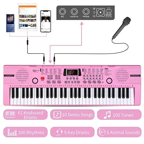 Hricane Piano Keyboard, 61 Keys Beginner Electronic Keyboard Portable Digital Music Keyboard, Early Education Music Instrument with Microphone & Music Sheet Stand - 2