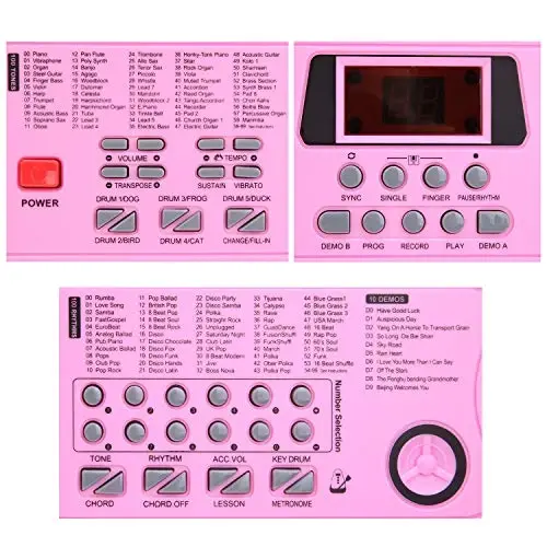 Hricane Piano Keyboard, 61 Keys Beginner Electronic Keyboard Portable Digital Music Keyboard, Early Education Music Instrument with Microphone & Music Sheet Stand - 5