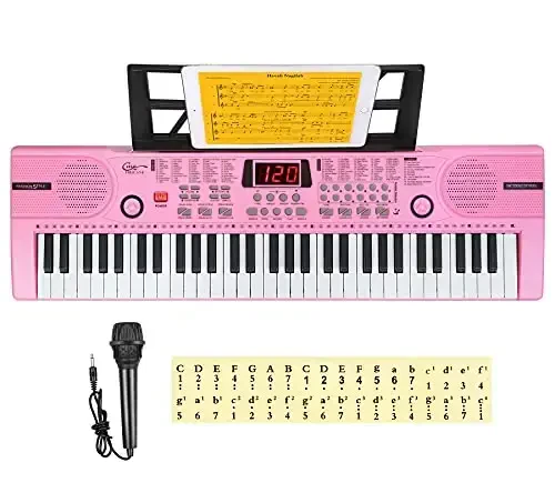 Hricane Piano Keyboard, 61 Keys Beginner Electronic Keyboard Portable Digital Music Keyboard, Early Education Music Instrument with Microphone & Music Sheet Stand - 4