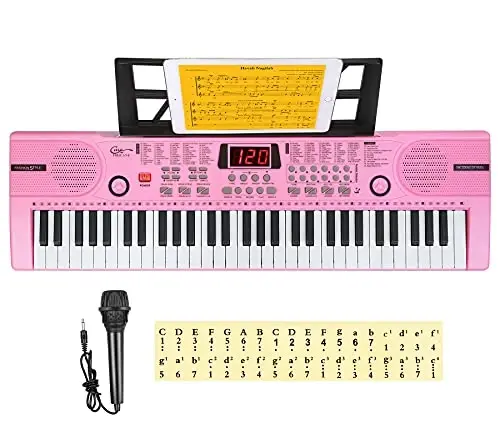 Hricane Piano Keyboard, 61 Keys Beginner Electronic Keyboard Portable Digital Music Keyboard, Early Education Music Instrument with Microphone & Music Sheet Stand - 3