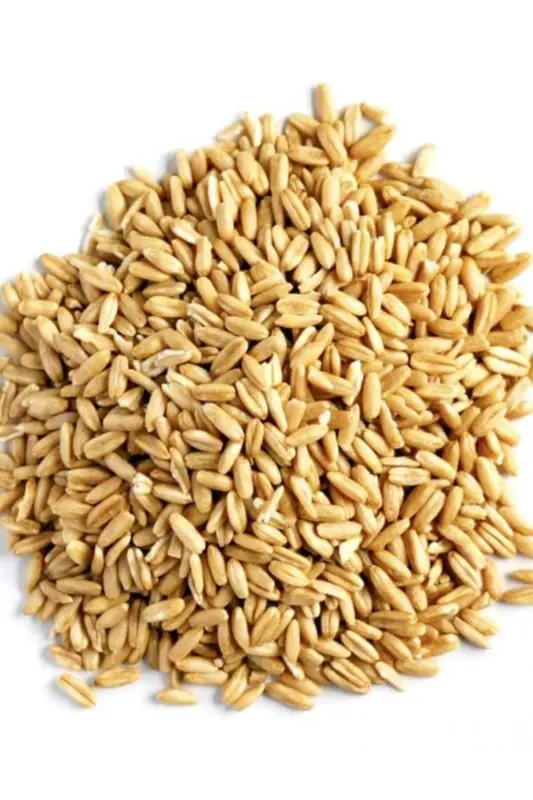 Hulled Oats for Birds 1 kg - 1