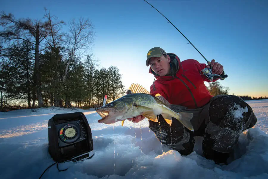 Humminbird ICE 55 Flasher - 4
