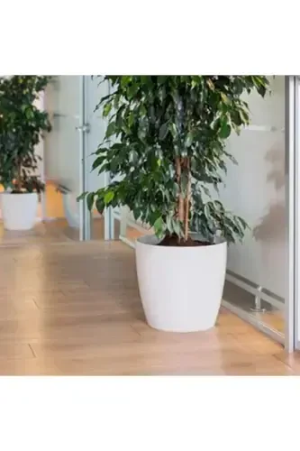 Якутский цветочный горшок треснувший белый 22 литра - SERİNOVA (1)