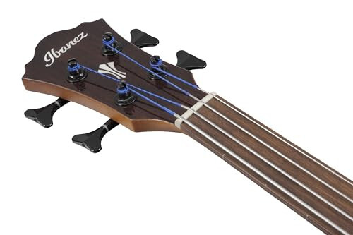 Ibanez AEGB34FE Akustik Elektrik Bass, Maun Sunburst Yüksek Parlaklık - 2