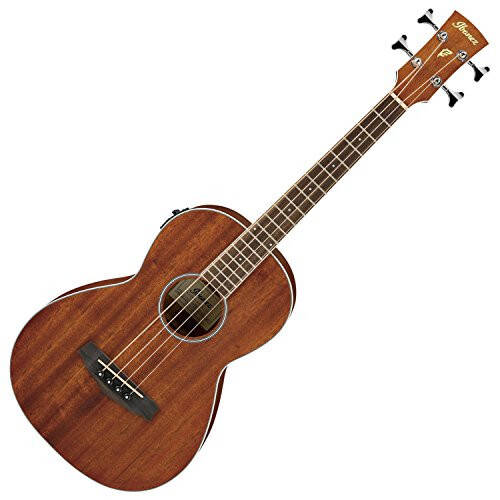 Ibanez PNB14EOPN Parlor Body Acoustic Electric Bass Open Pore Natural - 1