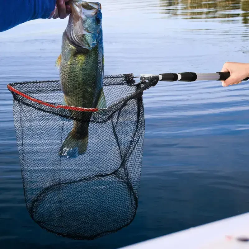 IBEEDOW Fishing Net Long Handle, Fish Landing Net with Telescopic Pole Handle, Collapsible Fishing Nets for Kids Adults in Saltwater Freshwater, Extend to 40-51 Inches - 2