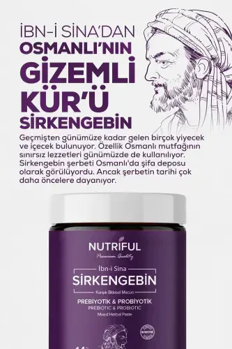 Ibn-i Sina Sirkengebin Prebiotic Paste - NUTRIFUL (1)