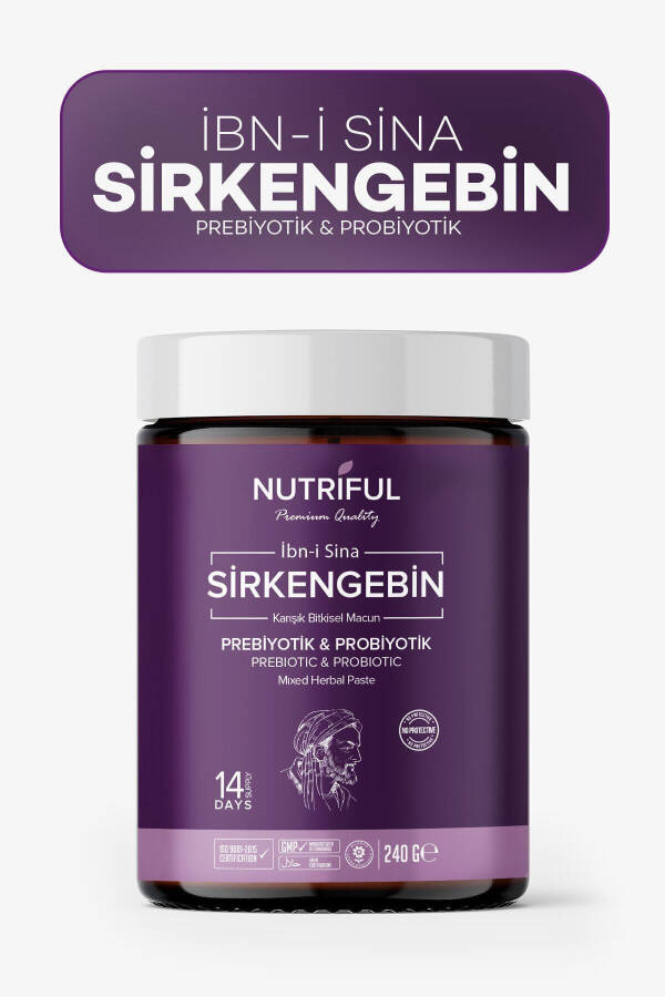 Ibn-i Sina Sirkengebin Prebiotic Paste - 3