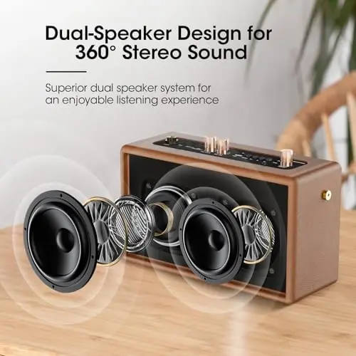 Retro Karaoke Machine with Two Wireless Microphones, Portable Bluetooth Speaker for Adults & Kids, PA System for Home Party, AUX/USB/TF Support, Birthday for Women & Girls- Brown - 3