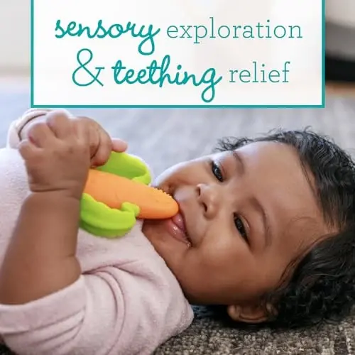 Infantino Lil' Nibbles Textured Silicone Baby Teether - Sensory Exploration and Teething Relief with Easy to Hold Handles, Orange Carrot, 0+ Months - 4