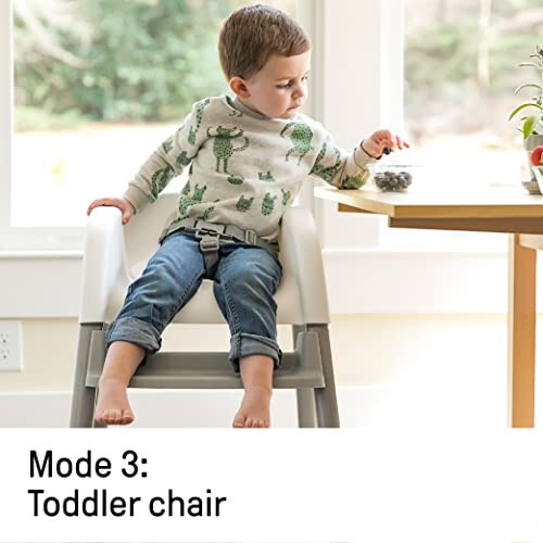 Ingenuity Trio Elite 3-in-1 High Chair Braden - High Chair, Toddler Chair, and Booster - 35