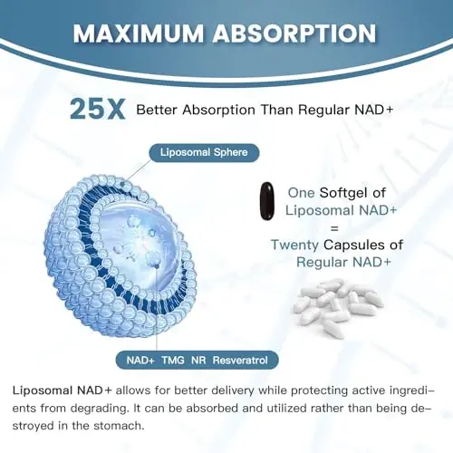 inGreens Liposomal NAD+ Supplement 1800 mg with Nicotinamide Riboside, Trans Resveratrol, Trimethylglycine，Replaces NMN, Boost NAD+, Aging Defense，Cellular Energy, 240 Softgels - 4