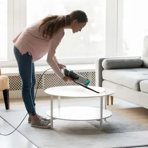 Ionvac ZipVac Corded Stick Vacuum, Multi-Surface 3-in-1 Upright/Handheld Vacuum Cleaner, Model #8842 - IONVAC (1)