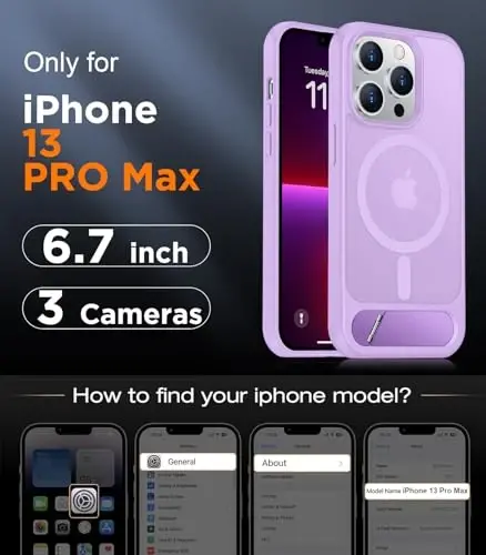 Temdan Magnetic Compatible with iPhone 13 Pro Max Case, [Built-in Invisible Kickstand][Compatible with MagSafe][Military Grade Shockproof] Slim Translucent Matte Phone Case for iPhone 13 Pro Max 6.7