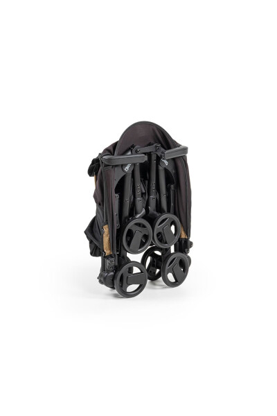 Iris Cho'ntak aravacha - 4