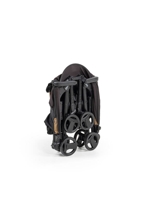 Iris Cho'ntak aravacha - 4