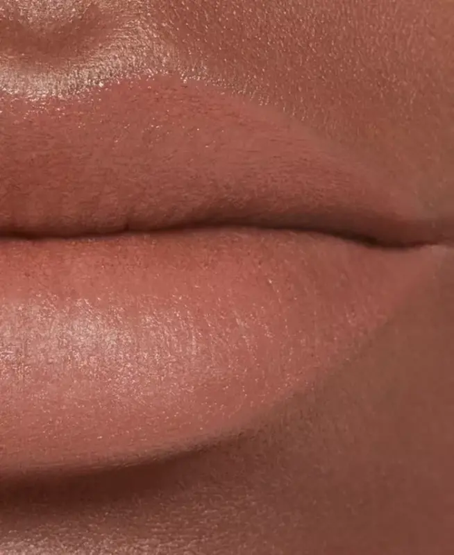 Luminous Matte Lip Colour - 60 INTEMPORELLE - 5