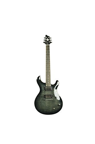 IYV 6 Dizeli IP-350 TBK PRS Katı Gövde Elektrik Gitar, Şeffaf Siyah - 1