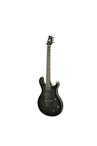 IYV 6 Dizeli IP-350 TBK PRS Katı Gövde Elektrik Gitar, Şeffaf Siyah - 3