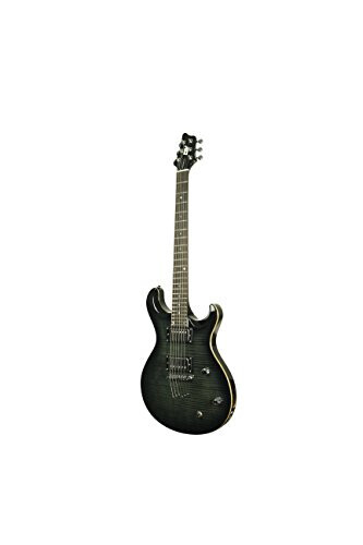 IYV 6 String IP-350 TBK PRS Solid-Body Electric Guitar, Trans Black - 3