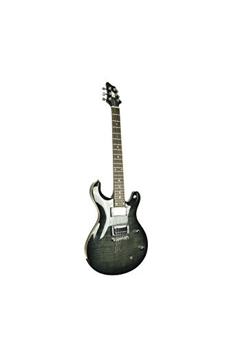 IYV 6 String IP-350 TBK PRS Solid-Body Electric Guitar, Trans Black - 7