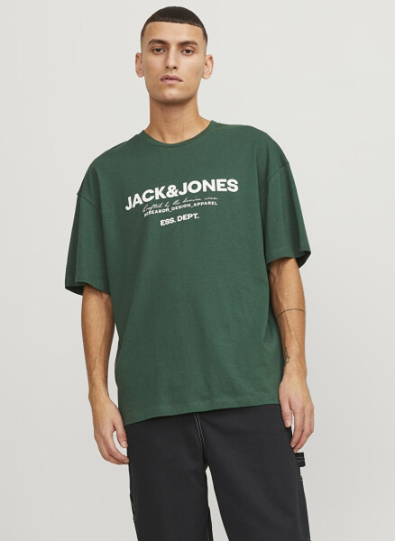 Jack & Jones Crew Neck Green Men's T-Shirt JJGALE TEE SS O-NECK LN - 1