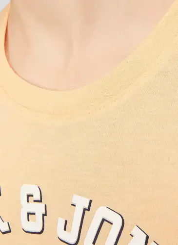 Jack & Jones Printed Salmon Men's T-Shirt JJELOGO TEE SS NECK 2 COL 23/24 NOO - JACK & JONES (1)