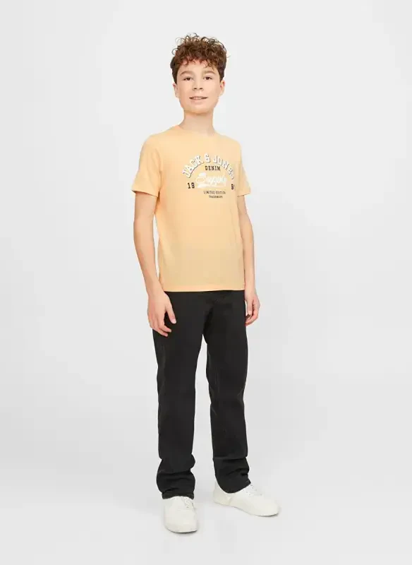 Jack & Jones Printed Salmon Men's T-Shirt JJELOGO TEE SS NECK 2 COL 23/24 NOO - 6