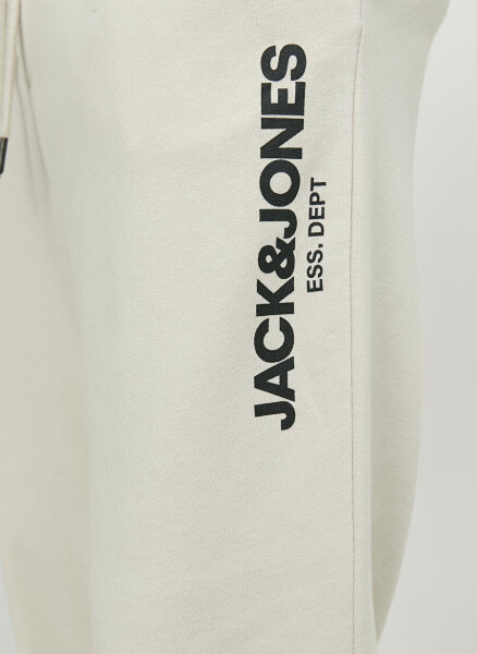 Jack & Jones Regular Fit Cream Men's Sweatpants JPSTGORDON JJGALE SWEAT PANTS NAF - 10