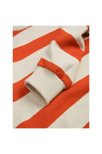 Jack&Jones Ayollar uchun Svitshot, Bo'sh kesilgan, Chiziqli, Qizil-ekru, 12243288 - 5