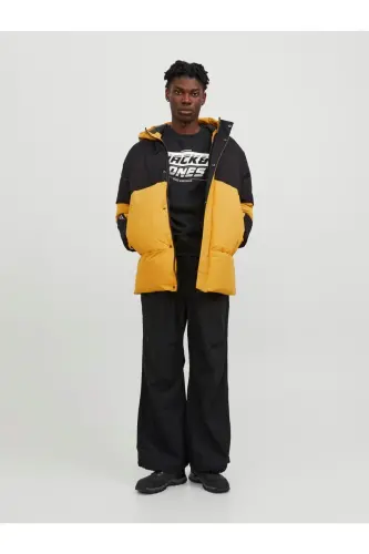 Jack&jones Erkek Mont 12235870 - Sarı-Siyah - JACK & JONES (1)