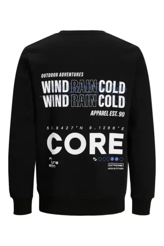 Jack&jones Erkek Sweatshirt 12223238 - Black - JACK & JONES (1)