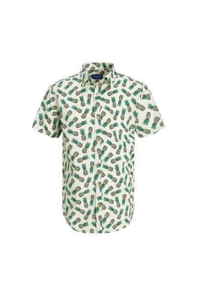 Jack&Jones James Palma Conv Men's Green Patterned Shirt - JACK & JONES