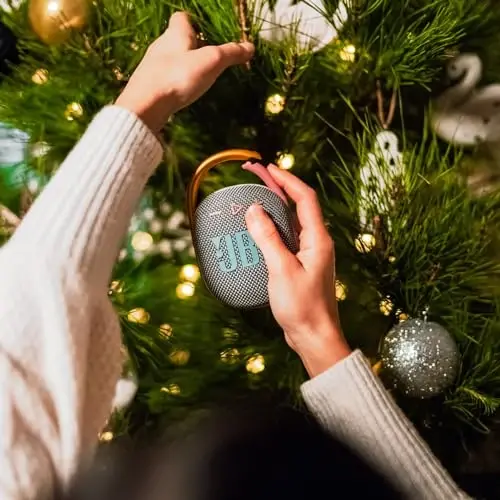 JBL Clip 4 - Portable Mini Bluetooth Speaker, big audio and punchy bass, integrated carabiner, IP67 waterproof and dustproof, 10 hours of playtime, speaker for home, outdoor and travel (Grey) - 2