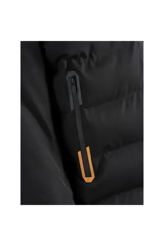 Jcodarwın Puffer's nickname. - 2