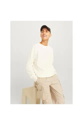 JCOMASON KNIT CREW NECK MEN'S SWEATER-Cloud Dancer - 1