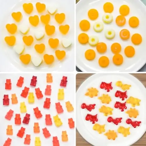 WARM TIME Gummy Bear Candy Molds Silicone, Mini Gummy Molds with 2 Droppers, Food Grade Non-Stick Silicone Molds Including Heart, Dinosaur, Bear, and Donut, Set of 4 - 4
