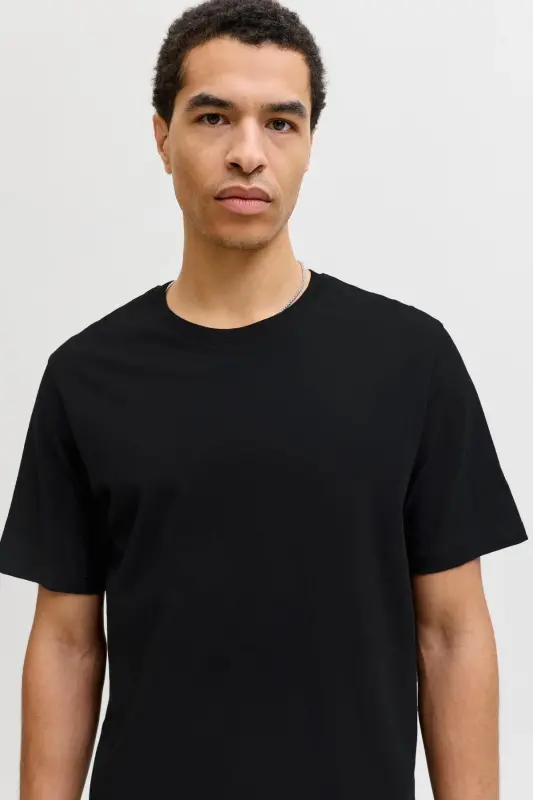 Jjeorganıc Basıc Bisiklet Yaka Erkek T-shırt 12156101-SİYAH - JACK & JONES