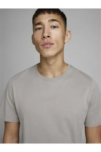 JJEORGANIC BASIC TEE SS O Крем Мужская Футболка 101069468-Crockery - JACK & JONES (1)