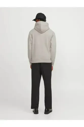 JJESTAR JJ SWEAT HOOD NOOS 12233972 Stone - 4