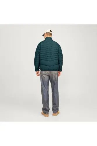 JJESTATE PACKABLE PUFFER COLLAR NOOS Magical Forest - Magical Forest - JACK & JONES (1)
