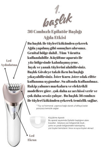 Jolvena 6 boshli super hashamatli epilyator / Epilyatsiya - 12