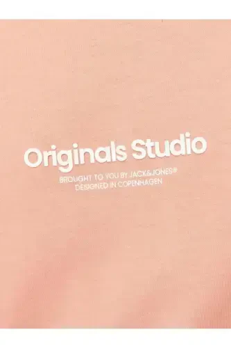 JORVESTERBRO SLEEVELESS TEE SN-Kanyon Günbatımı - 5