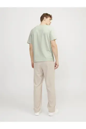 JPRBLAJACK SS TEE CREW NECK FST LN GREEN - Green Tint - 9