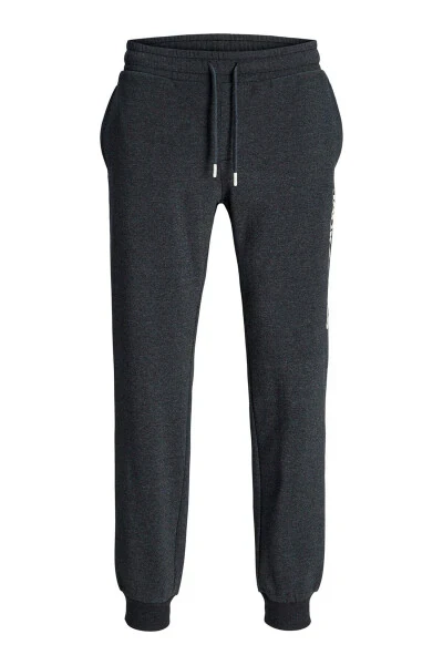 Jpstgordon Jjalvis Men's Sweatpants - JACK & JONES (1)