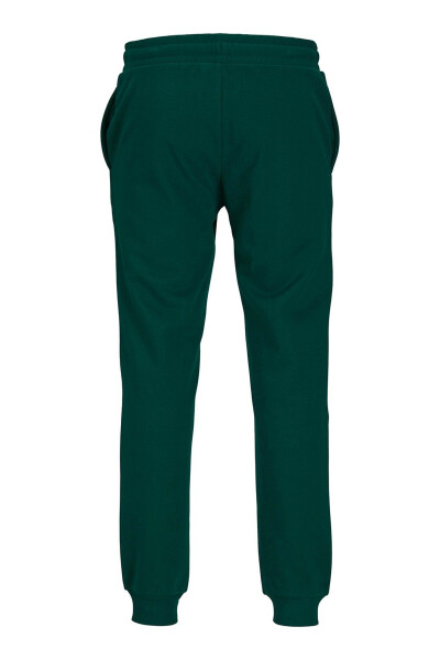 Jpstgordon Jjalvis Men's Sweatpants - 3